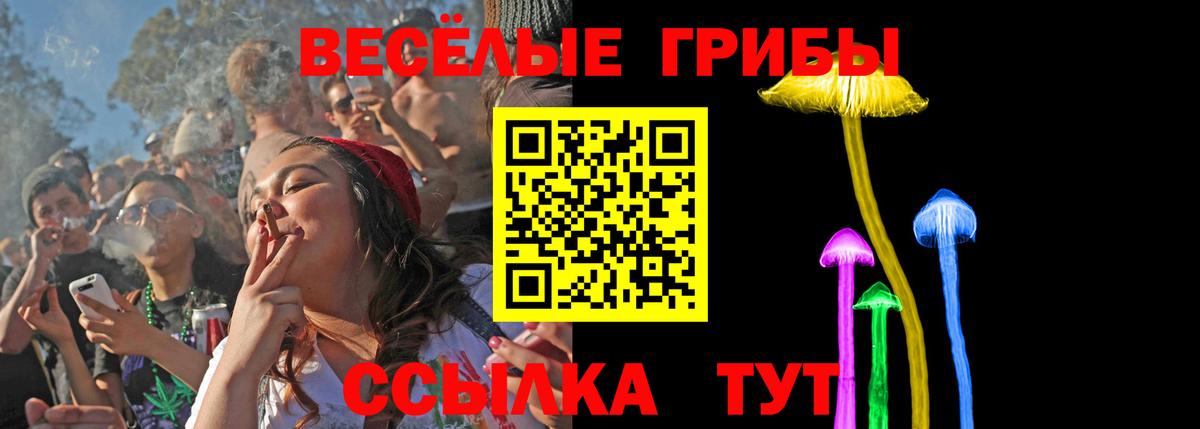 купить наркотики сайты  Псилоцибиновые грибы мицелий  Вход с VPN  Острогожск 